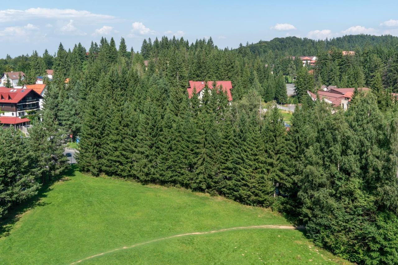 Apartament Executive Vedere Munte Alpin Resort Poiana Brasov Exteriör bild